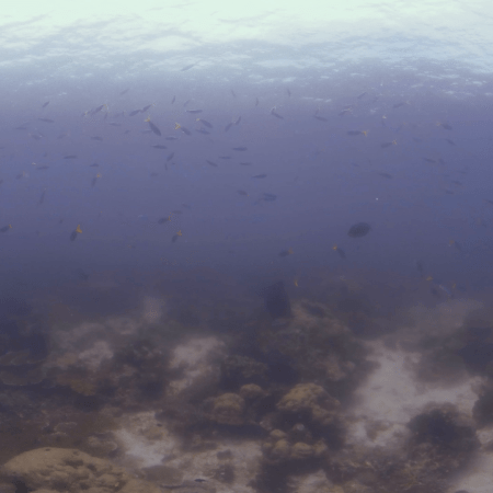 vid 20250910 110718 20260222173804 1.png