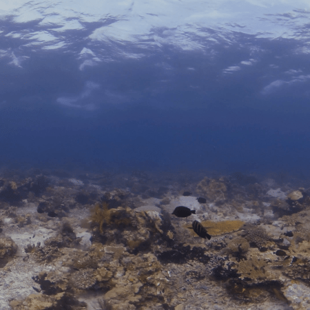 vid 20250910 145820 20251116111018 1.png