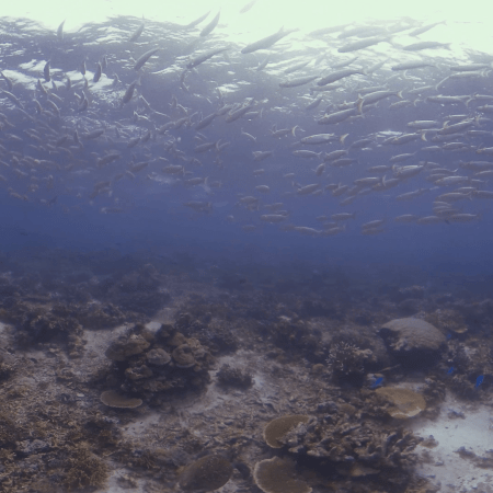 vid 20250910 150540 20251116111052 1.png