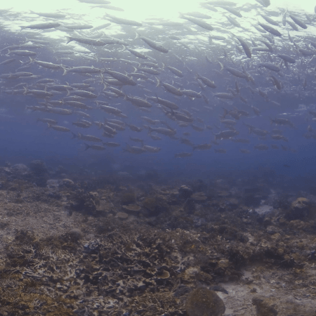 vid 20250910 150540 20251116111210 1.png