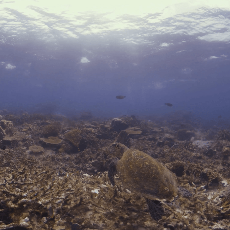 vid 20250910 150540 20251116111240 1.png