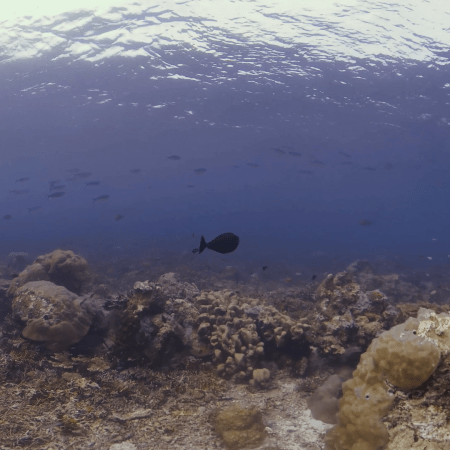 vid 20250910 152139 20251116111300 1.png