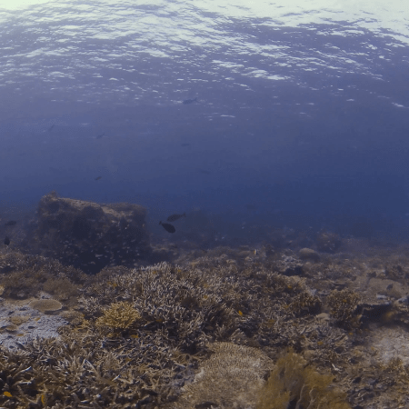 vid 20250910 152139 20251116111330 1.png