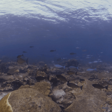 vid 20250910 152139 20251116111348 1.png