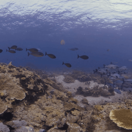 vid 20250910 152139 20251116111405 1.png