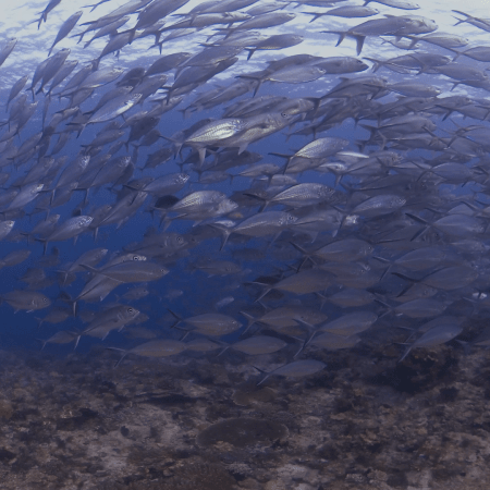 vid 20250910 154003 20251116111521 1.png