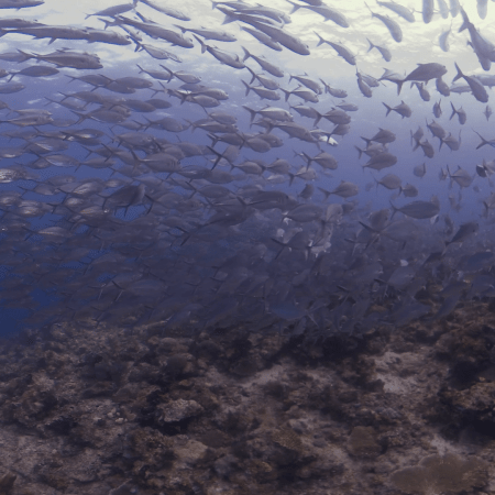 vid 20250910 154003 20251116111603 1.png