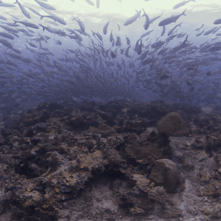 vid 20250910 154529 20251116111621 1.png