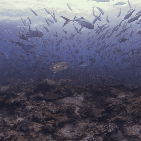 vid 20250910 154529 20251116111648 1.png