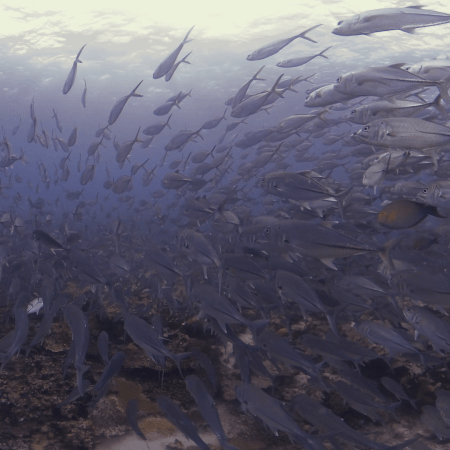 vid 20250910 154529 20251116111718 1.png