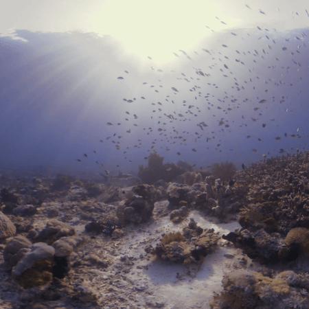 vid 20250911 070404 20251116111740 1.png