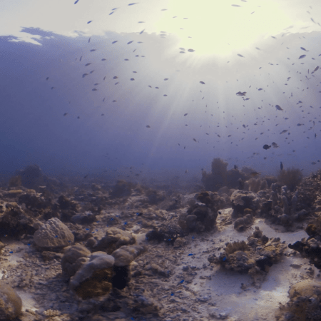 vid 20250911 070404 20251116111814 1.png