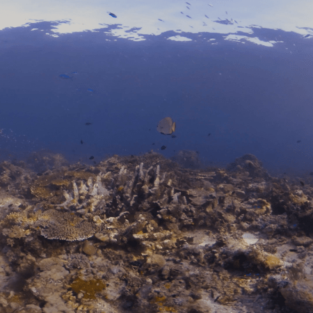 vid 20250911 070404 20251116111857 1.png