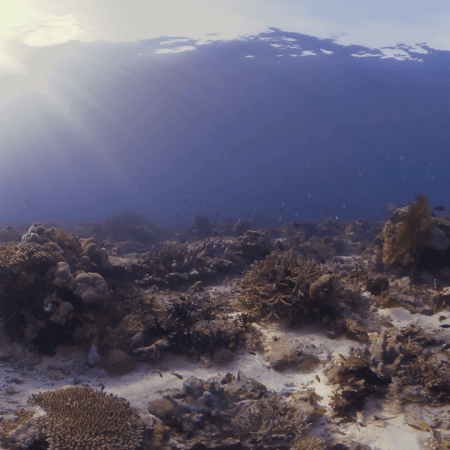 vid 20250911 071526 20251116111931 1.png