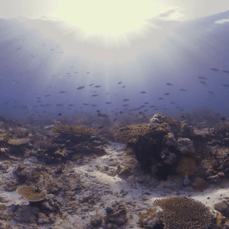 vid 20250911 071526 20251116112004 1.png