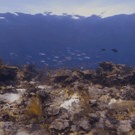 vid 20250911 071526 20251116112019 1.png