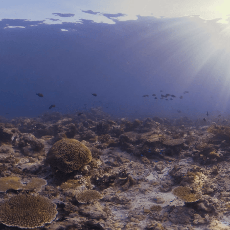 vid 20250911 071526 20251116112031 1.png