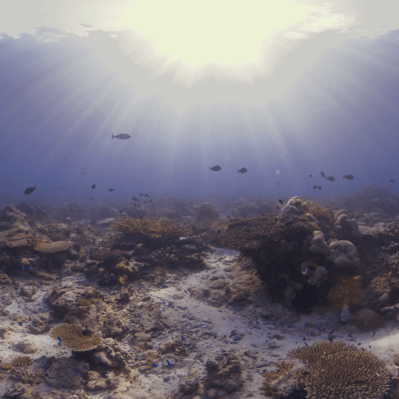 vid 20250911 071526 20251116112042 1.png