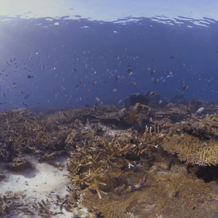 vid 20250911 072802 20251116112056 1.png