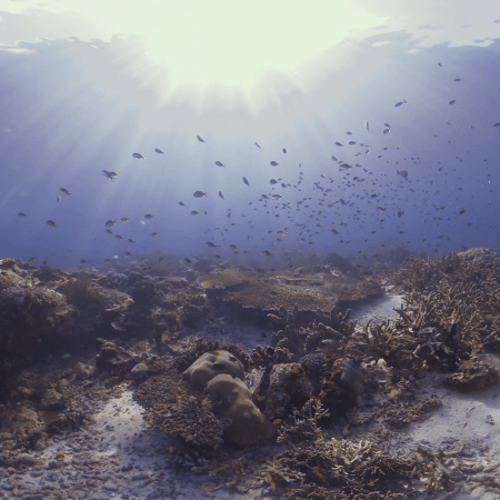 vid 20250911 072802 20251116112129 1.png