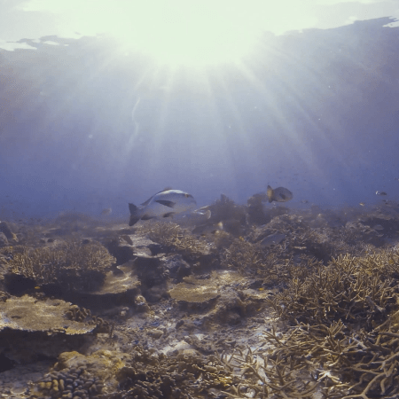 vid 20250911 073715 20251116112312 1.png