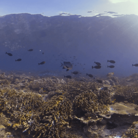 vid 20250911 073715 20251116112323 1.png