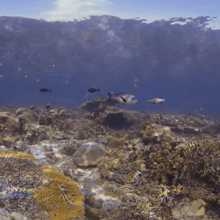 vid 20250911 073715 20251116112345 1.png