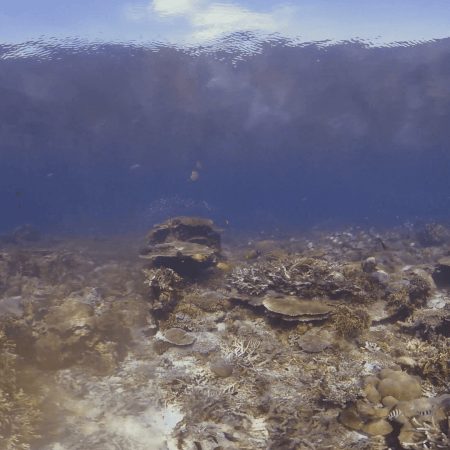 vid 20250911 074849 20251116112359 1.png