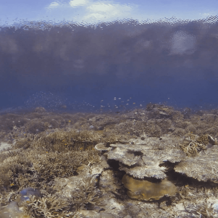 vid 20250911 074849 20251116112441 1.png