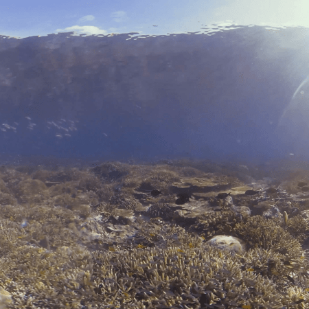 vid 20250911 075135 20251116112458 1.png