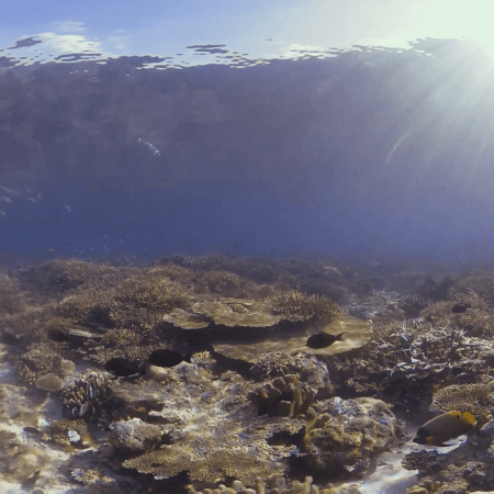 vid 20250911 075135 20251116112536 1.png