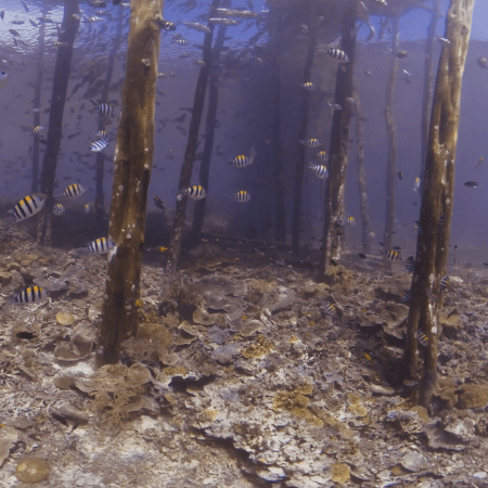 vid 20250911 100308 20260207122858 1.png