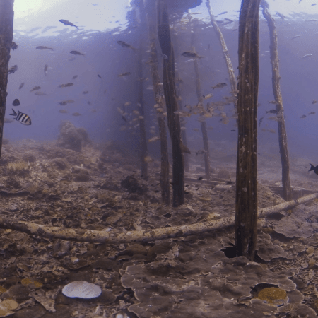 vid 20250911 101307 20260207123027 1.png