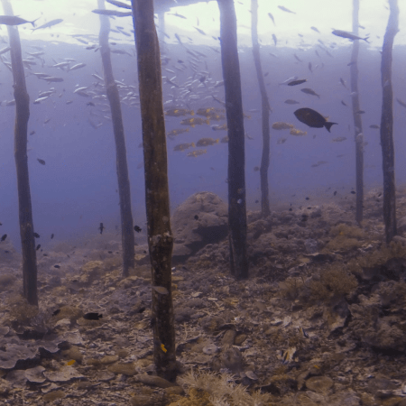 vid 20250911 101307 20260207123037 1.png