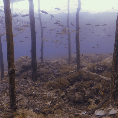 vid 20250911 101307 20260207123051 1.png