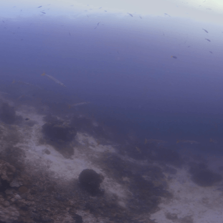 vid 20250911 102554 20260207123105 1.png