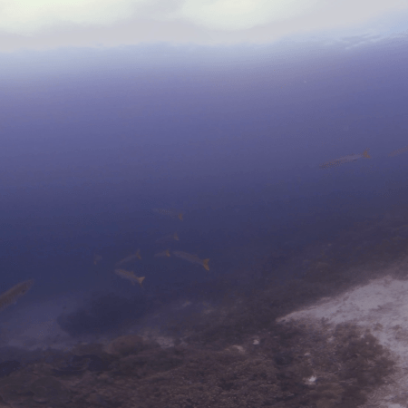 vid 20250911 102845 20260207123237 1.png