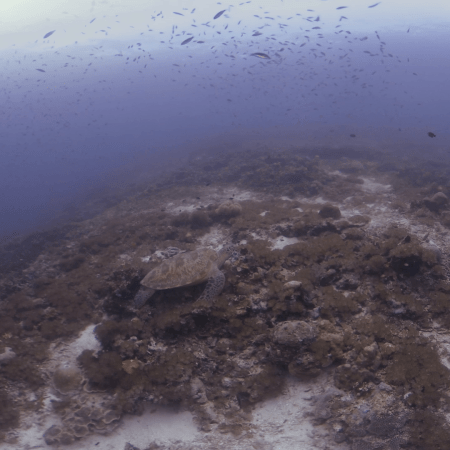 vid 20250911 103206 20260207123255 1.png