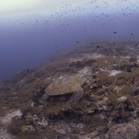 vid 20250911 103206 20260207123320 1.png