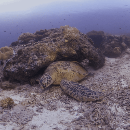 vid 20250911 103549 20260207123338 1.png