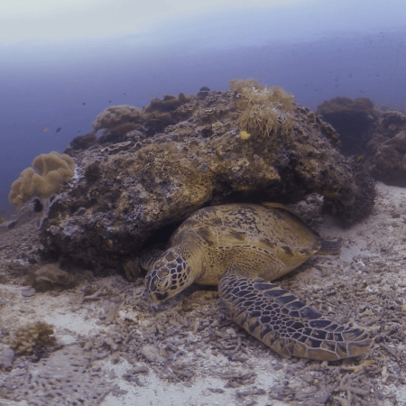 vid 20250911 103549 20260207123403 1.png