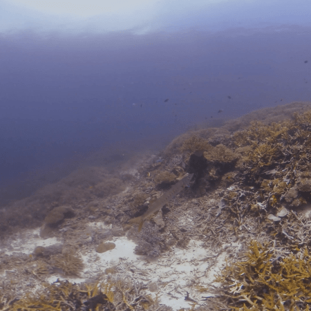 vid 20250911 104259 20260207123420 1.png