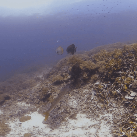 vid 20250911 104259 20260207123443 1.png