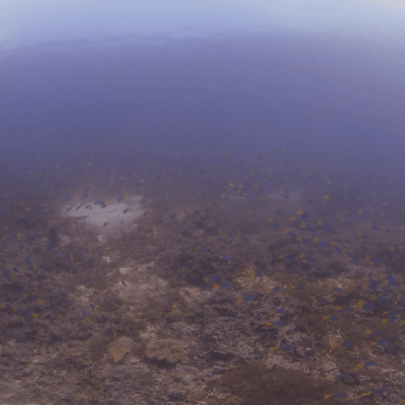 vid 20250911 104900 20260207123501 1.png