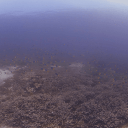 vid 20250911 104900 20260207123526 1.png