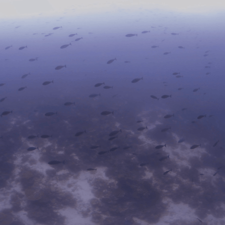 vid 20250911 123443 20260207123547 1.png