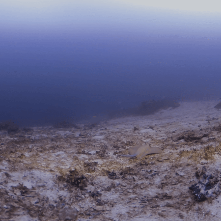 vid 20250911 125751 20260207123817 1.png