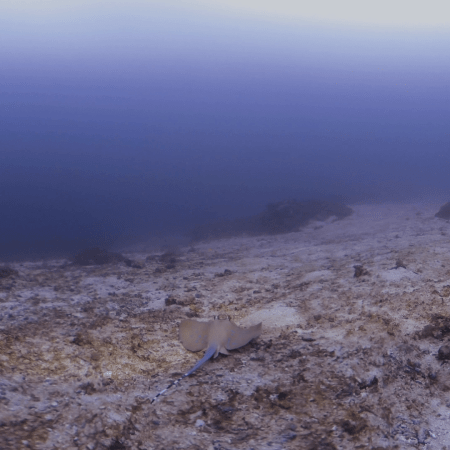 vid 20250911 125751 20260207123844 1.png