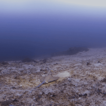 vid 20250911 125751 20260207123859 1.png