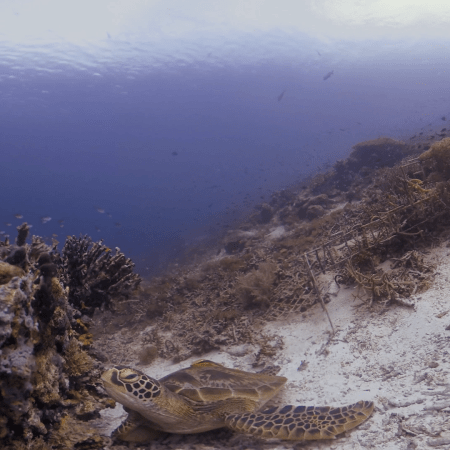 vid 20250911 130746 20260207123949 1.png